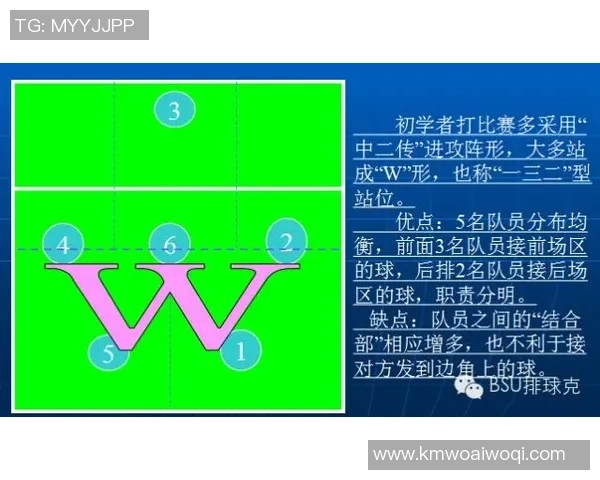 葡萄牙与中国排球对决分析：技术战术与球队实力的全面比较